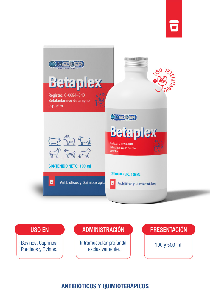 Interfaccia di Plexbet Casino